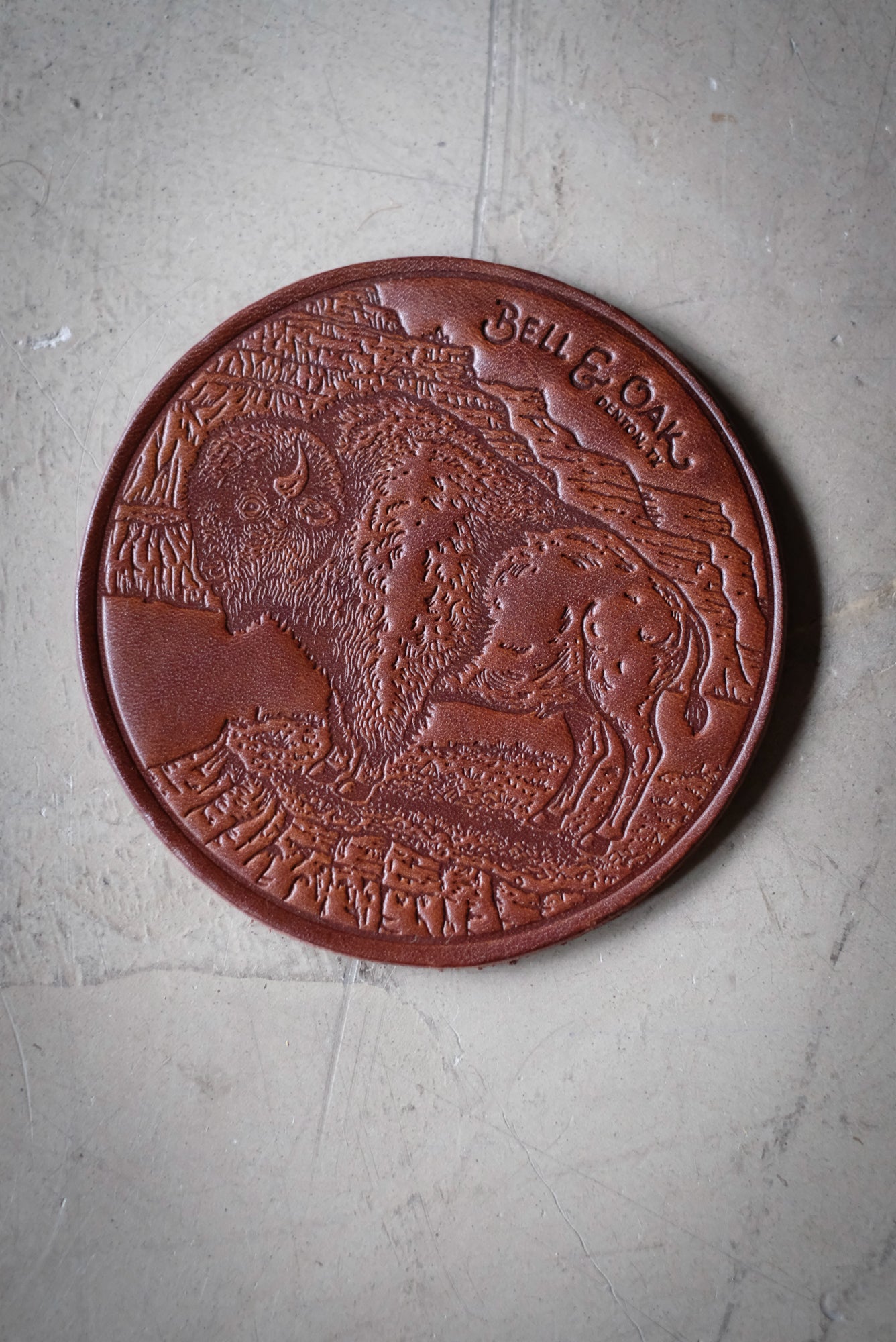 Bison Coaster Set