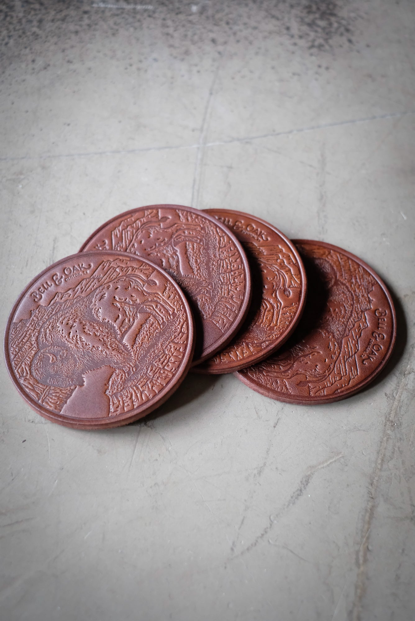 Bison Coaster Set