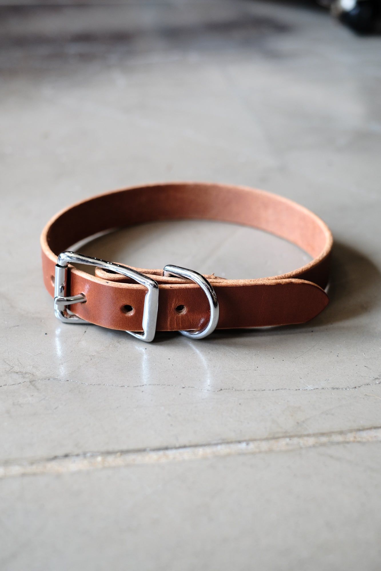Dog Collar (Tan Bridle Leather) Wilkinson's Fine Goods