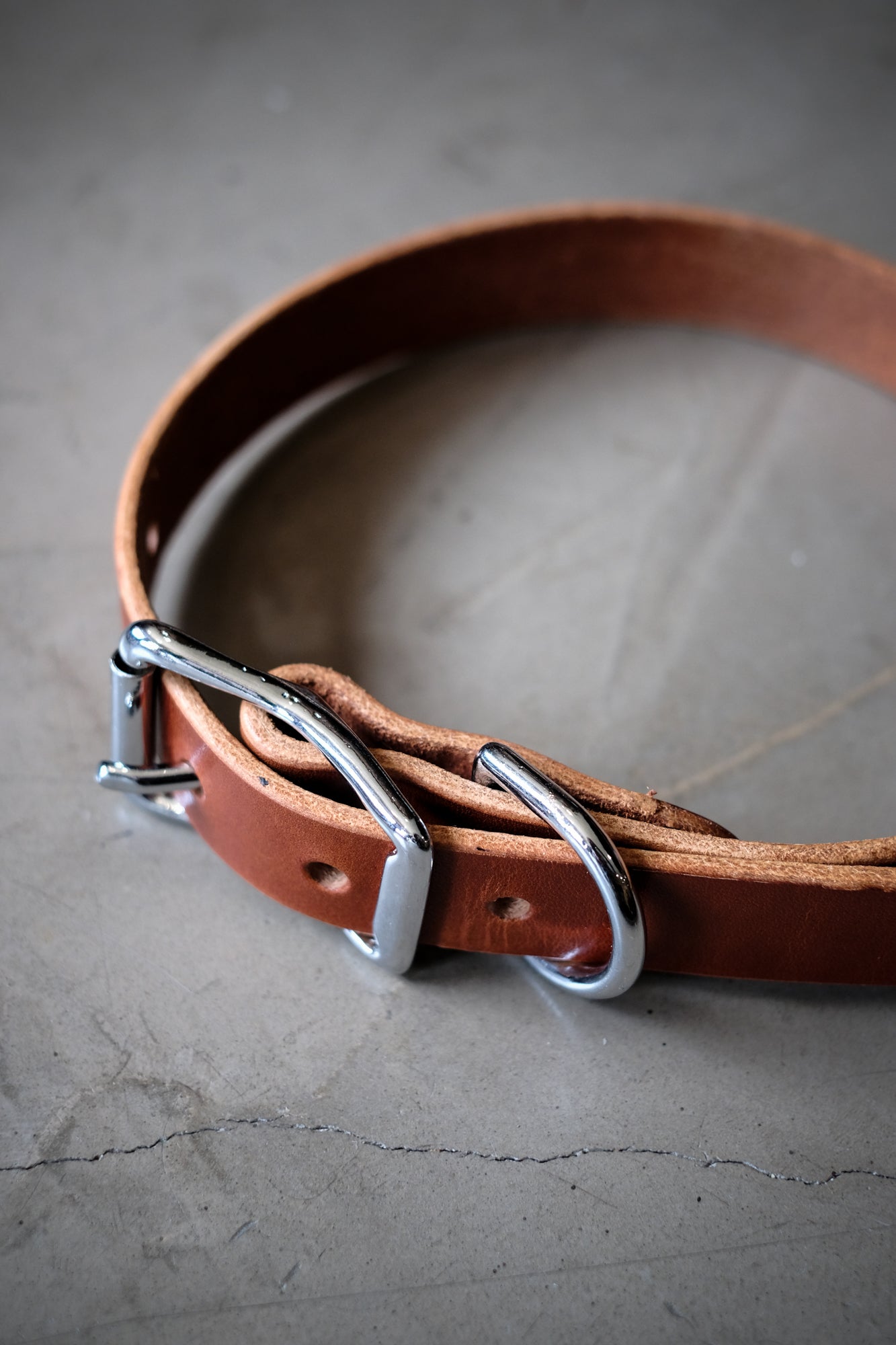 Dog Collar (Tan Bridle Leather) Wilkinson's Fine Goods