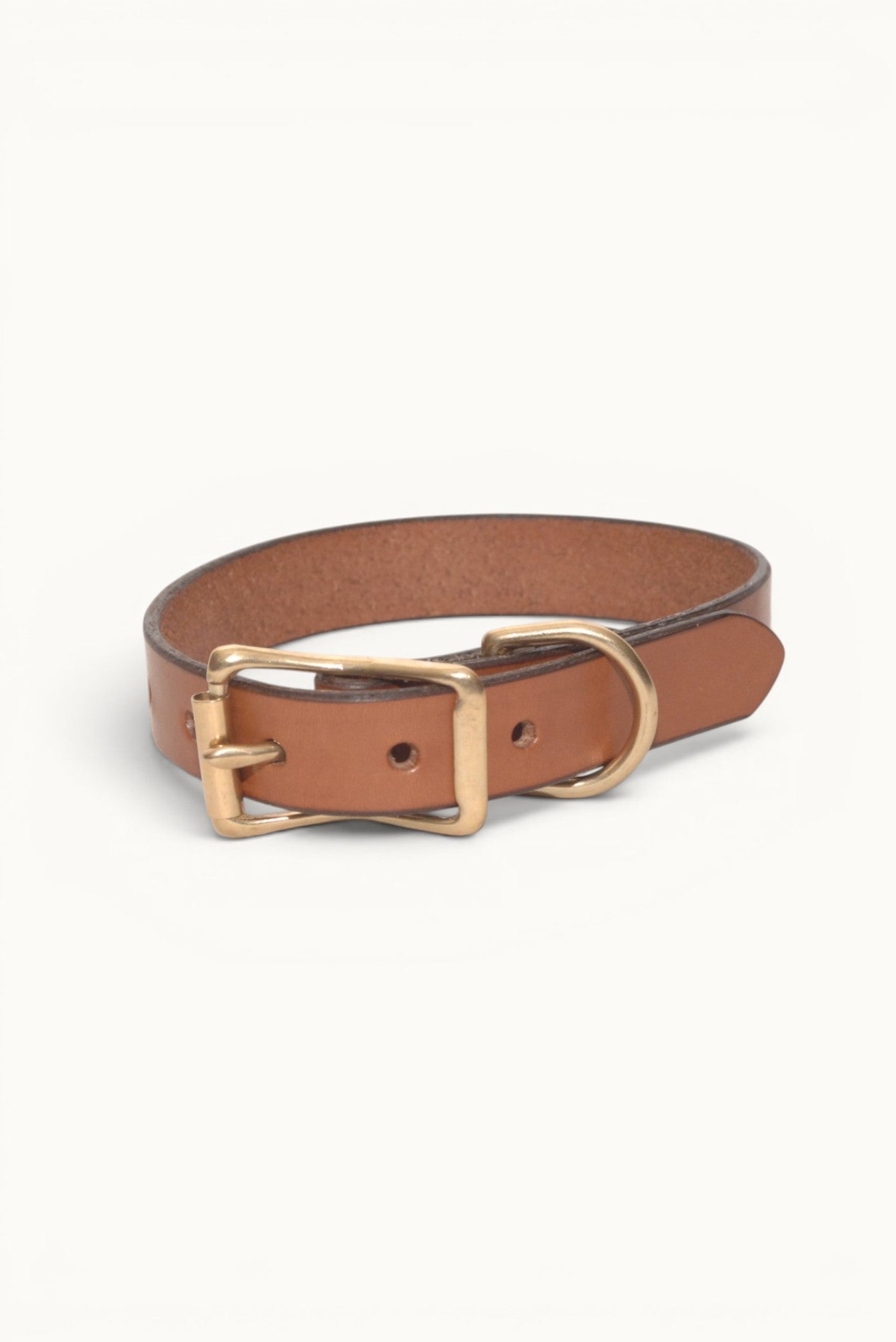 Dog Collar Wilkinson