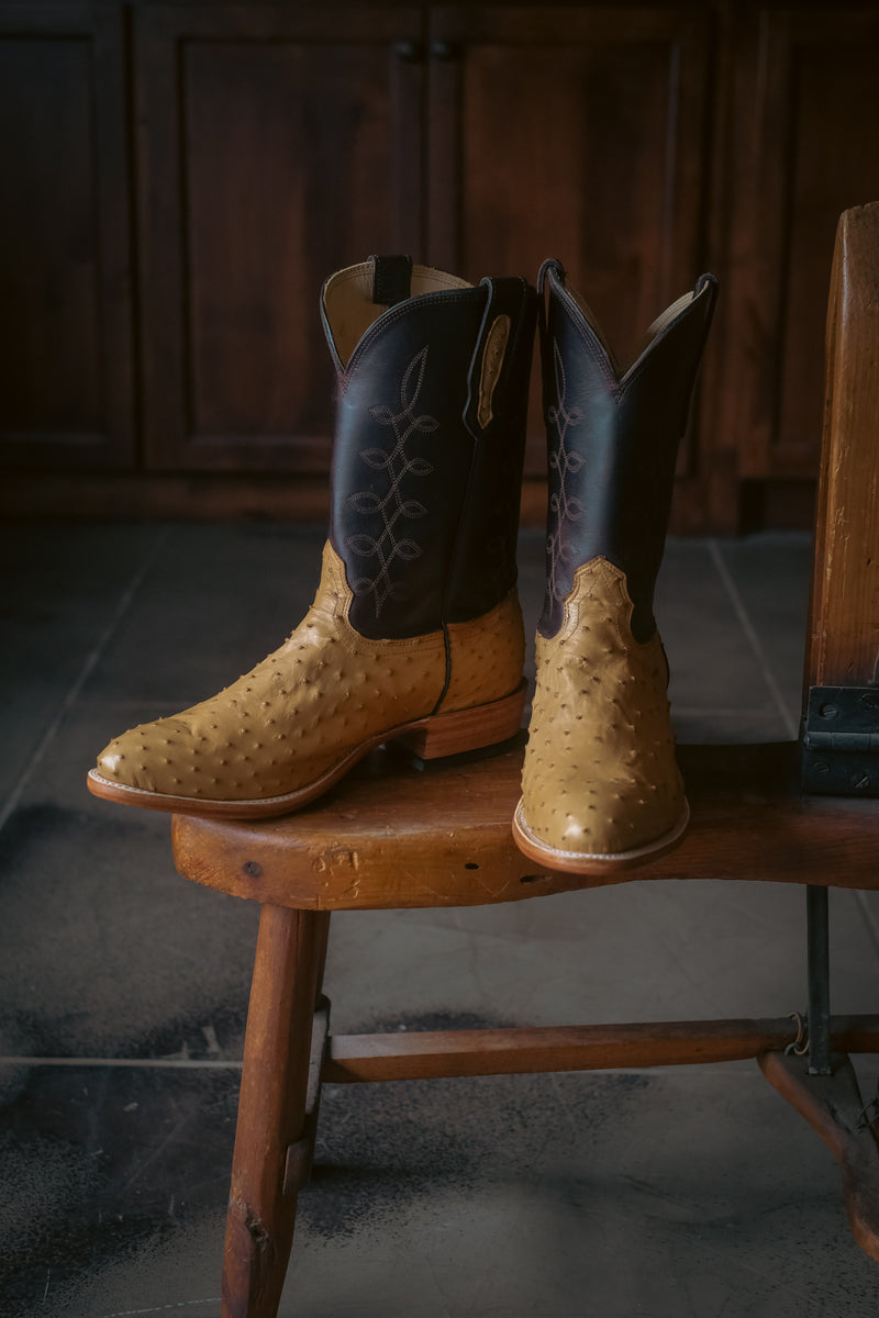 Antique Saddle Full Quill Ostrich Boot | WFG Limited Edition