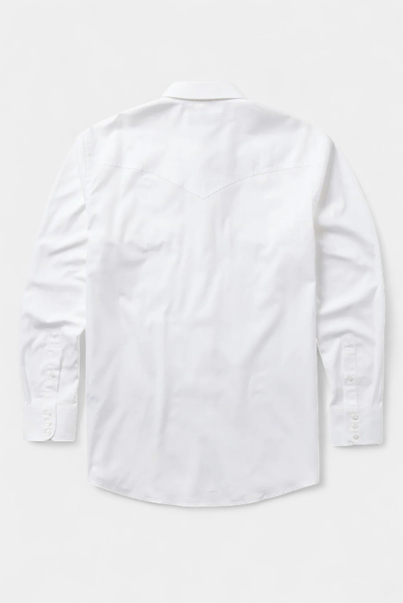 Classic Western Pinpoint Button Down