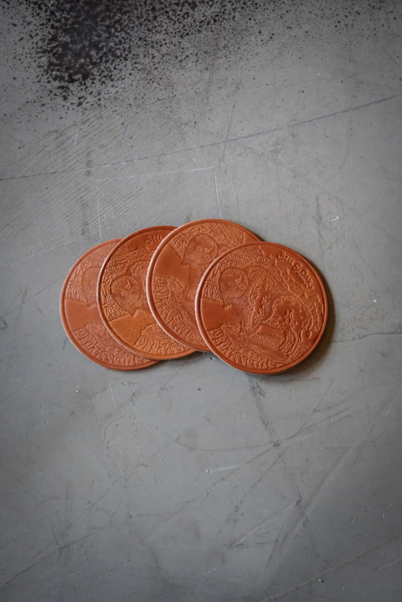 Bison Coaster Set