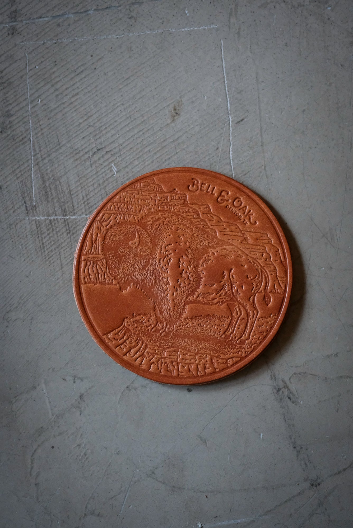 Bison Coaster Set