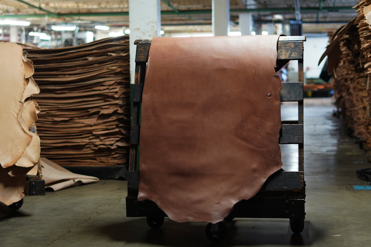 A full hide of Hermann Oak leather on a cart inside the St. Louis tannery